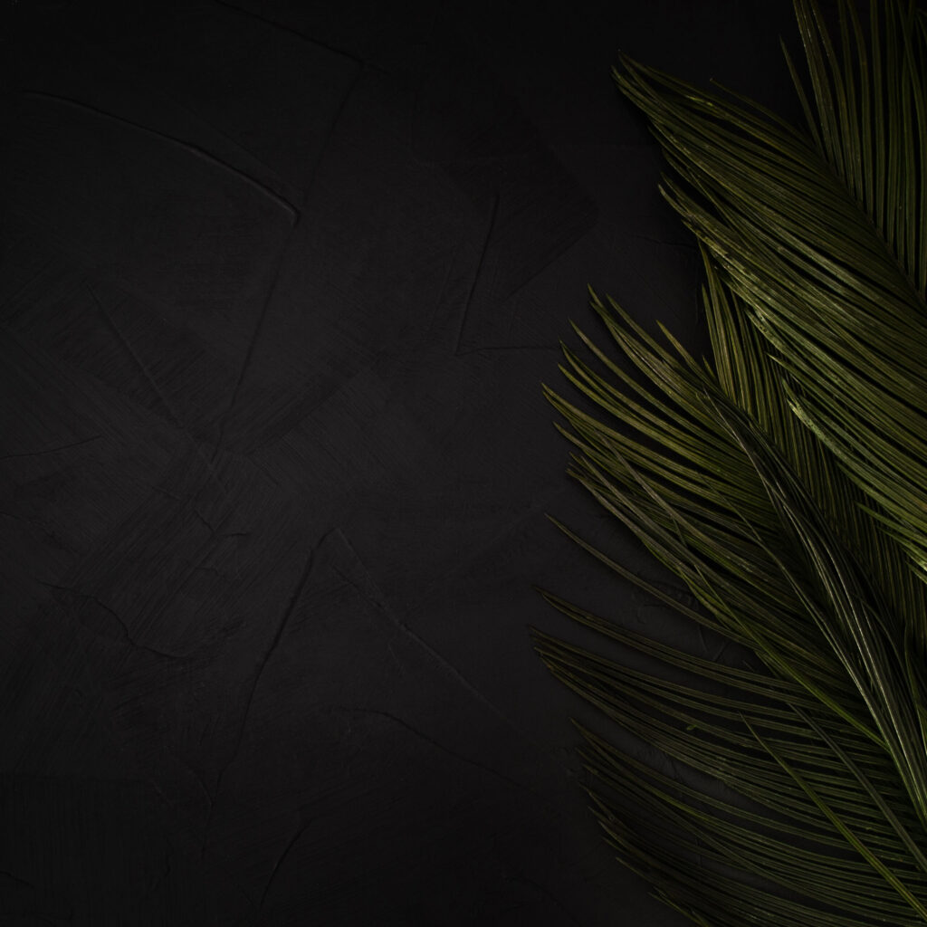 Green Palm Leaves Black Textured Background With Copy Space Scaled 1024x1024